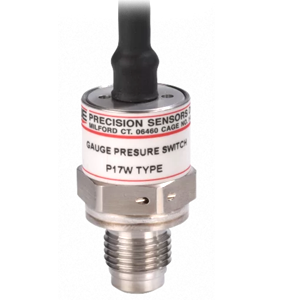 P17W Gauge Pressure Switch